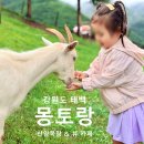 산들목장 | 태백 몽토랑 산양목장&amp;뷰카페 꼼꼼리뷰 | 아이와 먹이체험 가능한 강원도 가볼만한 곳