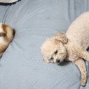 워니시티 이미지