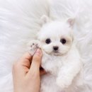 대구미용소 - 남구 | 대구미용소