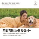 하샘펫푸드연구소 이미지