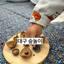 민들레숲협동조합 | 자연 속에서 성장하는 아이/ 대구 발도르프 숲놀이수업 후기