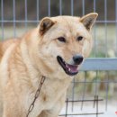 이광호농장 이미지