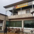 순흥애꽃 이미지