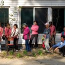 부광메디칼 이미지