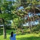 장터목장 | 서산 당일치기 여행코스 - 해미읍성 카페건축가의정원 서산한우목장산책로 서산데이트명소 소도시여행
