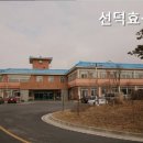 선덕효심원 이미지