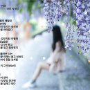 나무아래 이미지