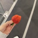 동표농장 네이버블로그