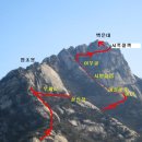 여우굴 이미지