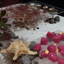 고마개더링 이미지