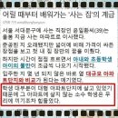 섬강초등학교 이미지