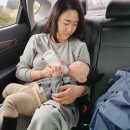 미영목장 이미지