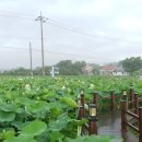 바이오모텔 이미지