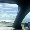 남부켄넬 이미지