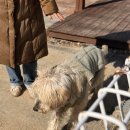 어뮤즈 545 이미지