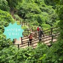 치악산둘레길 10코스 아흔아홉골길 | [ 치악산둘레길 ] 굽이굽이 산속 힐링 길! &#39;치악산둘레길 10코스 아흔아홉골길&#39; 걷기
