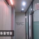 WE동물병원