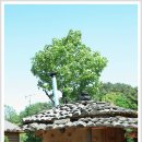 여주-0234 이미지