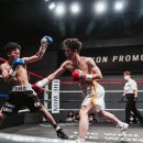 명문복싱클럽 이미지