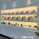 인셀덤루비대리점
