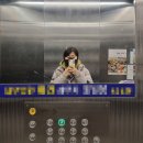 바른손지압안마원 | 루원시티 마사지 가정바른손안마원 인천 안마