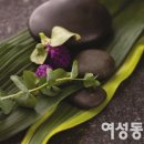 네츄럴테라피푸드 이미지