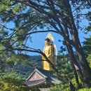 다솔사길 | [경남]🪷 삼사순례 🪷 통도사, 쌍미륵사, 보리암, 다솔사, 백천사