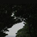 강현주바리스타학원