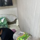 해남클린방역
