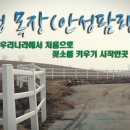 각하목장 이미지