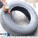 재생타이어