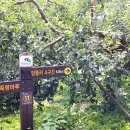 용부원2리 이미지