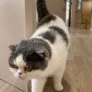 에어묘앤비 이미지