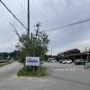 디아나 | [용인] 가족과 함께 가기 좋은 대형카페 “카페 디아나” 내돈내산 후기🥐