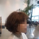 다온내츄럴