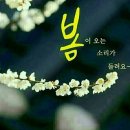 겨울미소만물