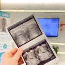 리움산부인과의원 이미지