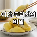 이안상사 이미지