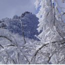 설천면051 이미지