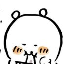 짜장짬뽕이야기 이미지