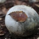 신세대 당구장 이미지