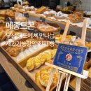 [부산빵지순례] 영도빵집 메종드콘, 제과기능장빵집 명성 그대로 담백한 소금빵 치아바타 후기