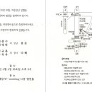 묵동-073 Daum카페