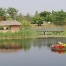 수도권 매립지(인천 드림파크)야생화단지 꽃축제 이미지