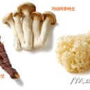 새로운 모습과 색다른 풍미의 버섯들 이미지