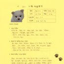 1334 | [1334] 랑이(양측 슬개골탈구 G2, G3)의 수술후기