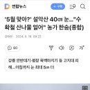 &#39;5월 맞아?&#39; 설악산 40㎝ 눈…&#34;수확철 산나물 얼어&#34; 농가 한숨(종합) 이미지