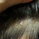 우리퀸헤어 이미지