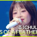 6월28일 더 시즌즈 츄와 음색과 너무 잘 어울리는 빌리 아일리시의 ‘ Birds Of a Feather ’ 영상 이미지