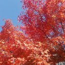 육남매식당 이미지